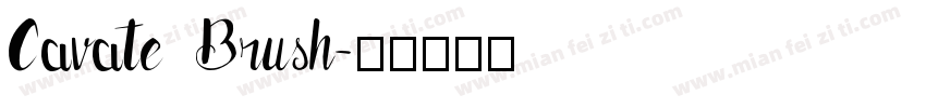 Cavate Brush字体转换